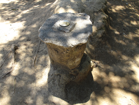 20150715hike (101)